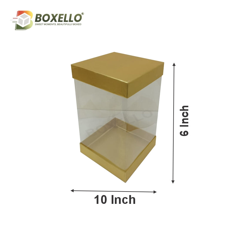 Transparent Boxes Square (10 x10X 6 inches)