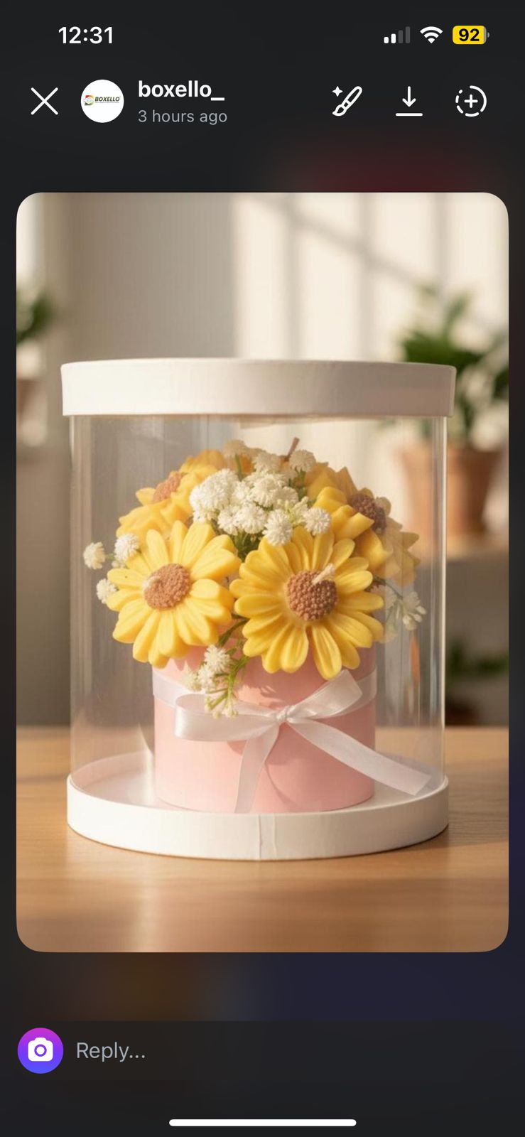 Transparent Boxes (10 x10X 10 inches)