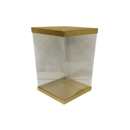 Transparent Boxes Square (10 x10X 10 inches)