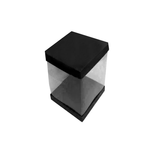 Transparent Boxes Square (10 x10x10 inches)