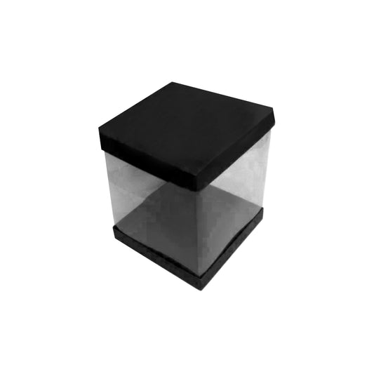 Transparent Boxes Square (10 x10x6 inches)