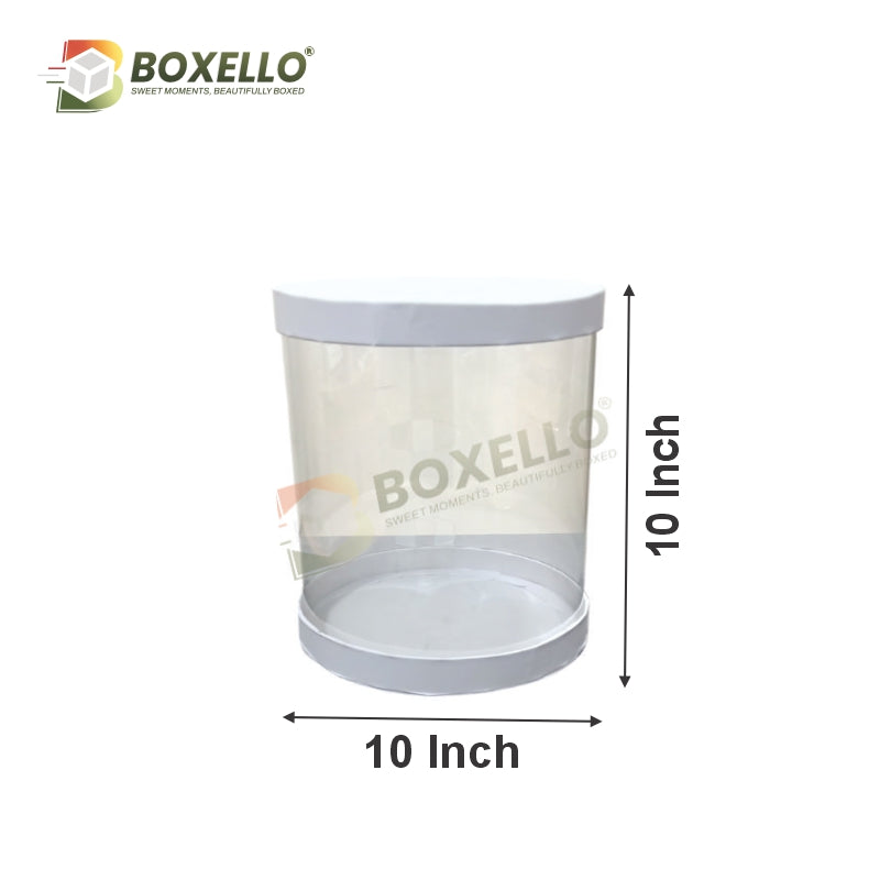 Transparent Boxes (10 x10X 10 inches)