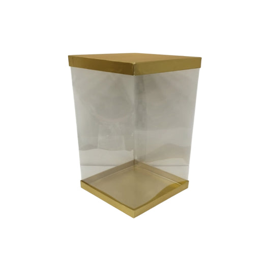 Transparent Boxes Square (8 x8X 10 inches)