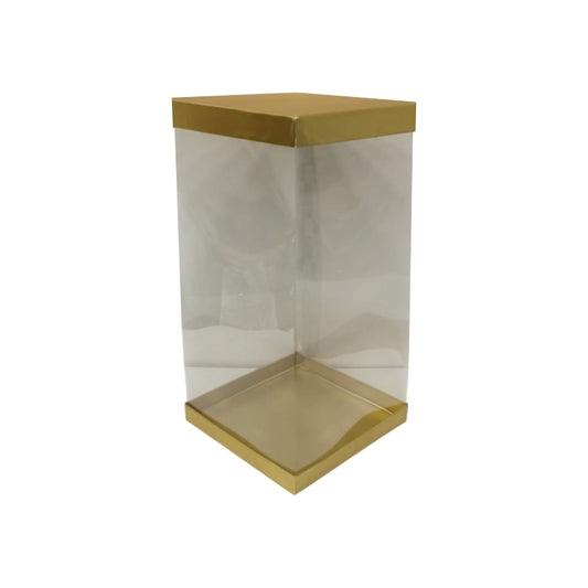 Transparent Boxes Square (8 x8X 20 inches)