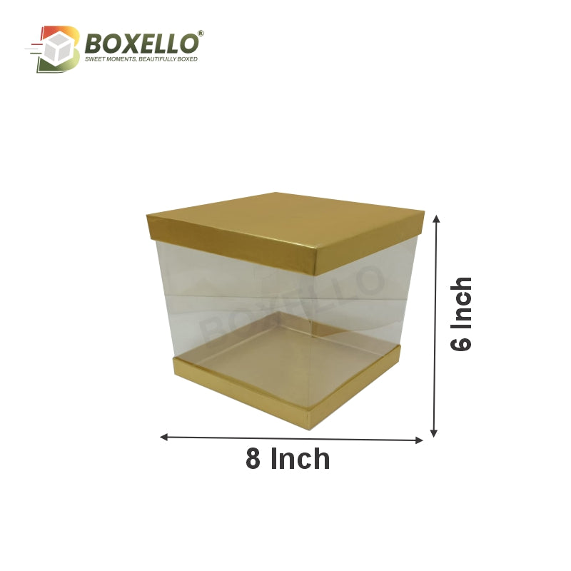 Transparent Boxes Square (8 x8X 6 inches)