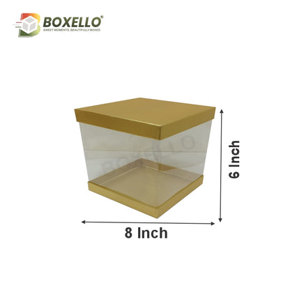 Transparent Boxes Square (8 x8X 6 inches)