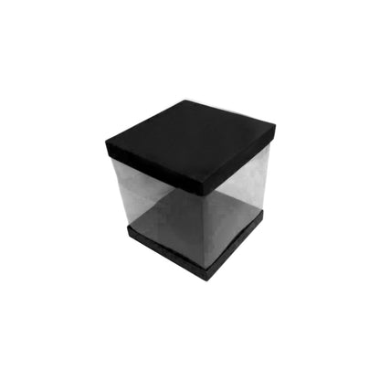 Transparent Boxes Square (8 x8x10 inches)