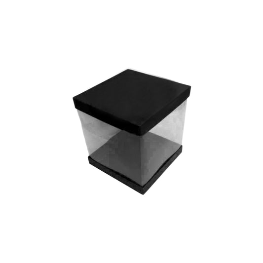Transparent Boxes Square (8 x8x10 inches)