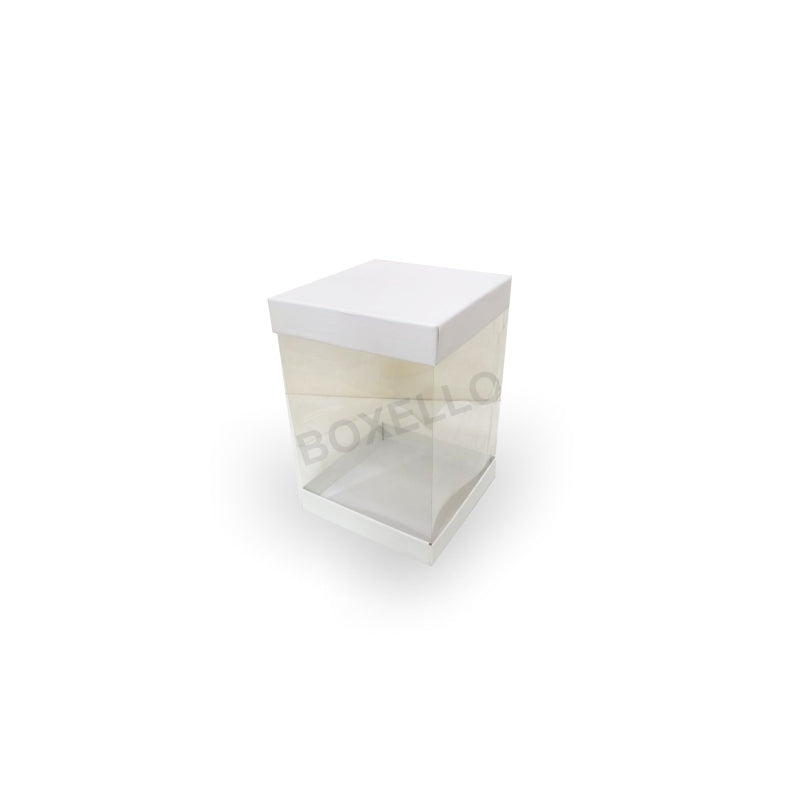 Transparent Boxes Square (8 x8X 10 Inches)