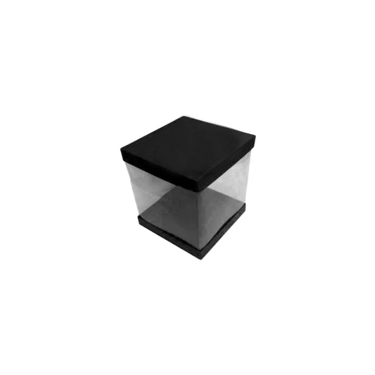 Transparent Boxes Square (8 x8x6 inches)