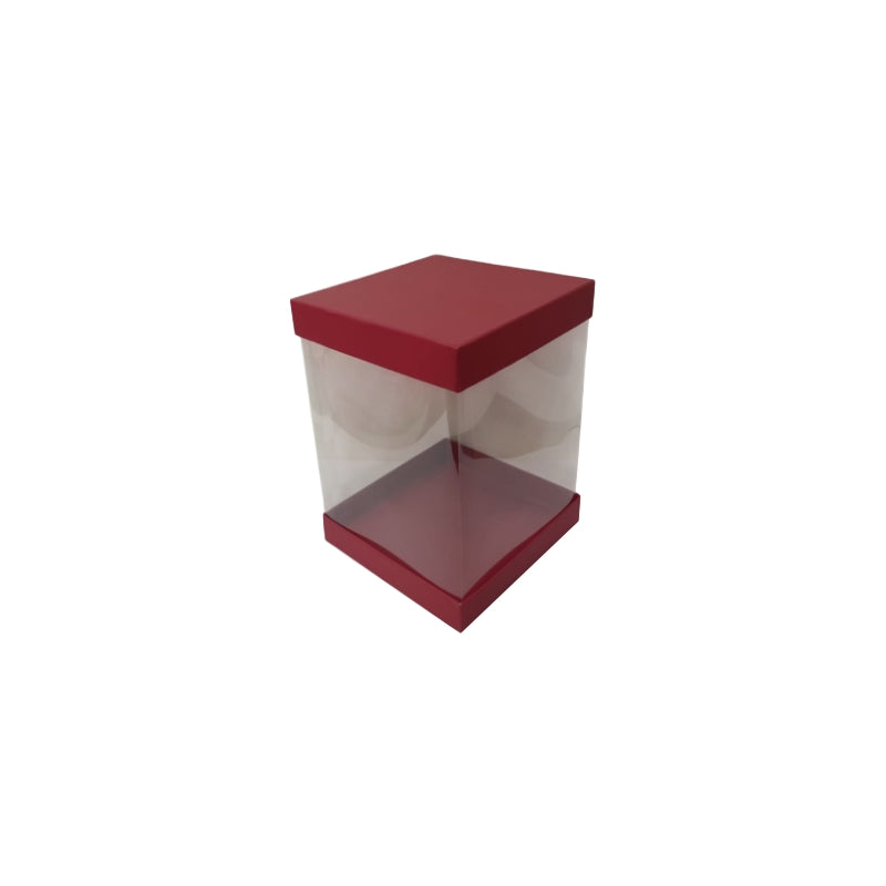 Transparent Boxes Square (10 x10x10 inches)