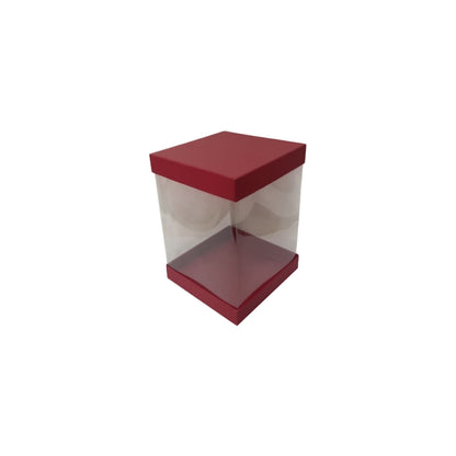 Transparent Boxes Square (10 x10x10 inches)