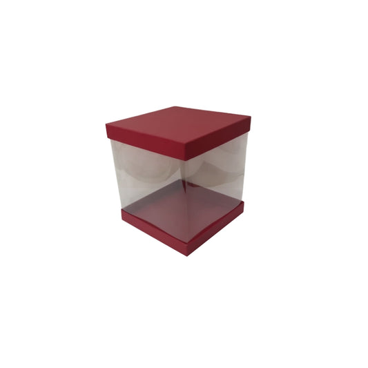 Transparent Boxes Square (10 x10X 6 inches)