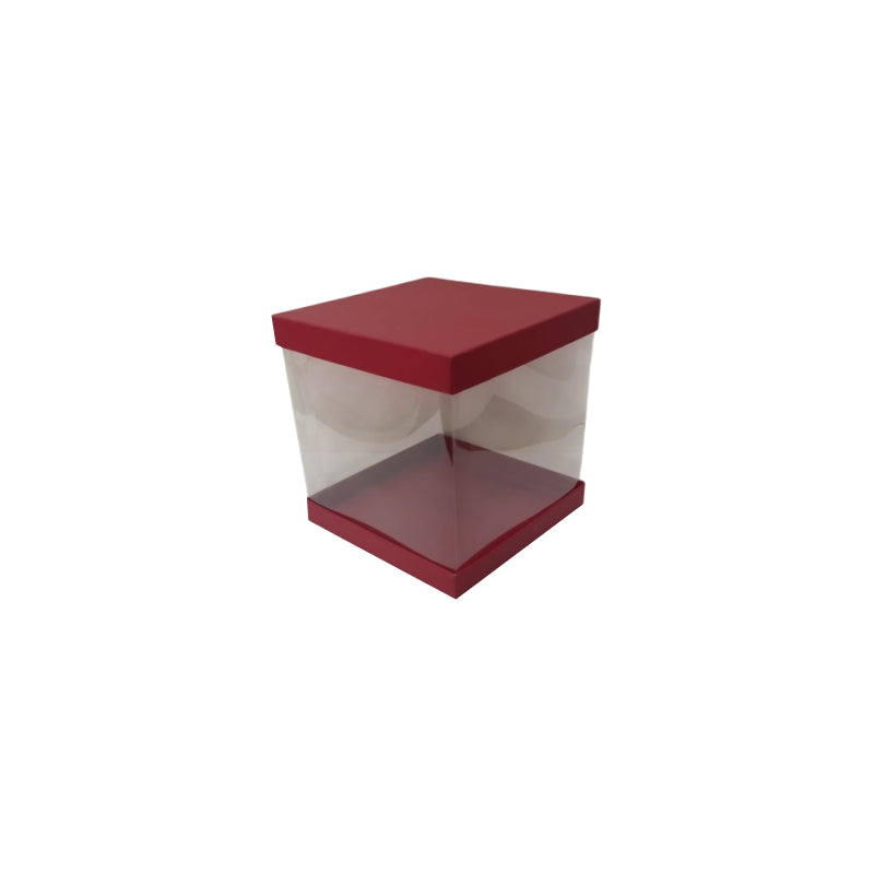 Transparent Boxes Square (8 x8X 6 inches)