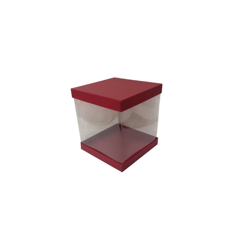 Transparent Boxes Square (8 x8x10 inches)