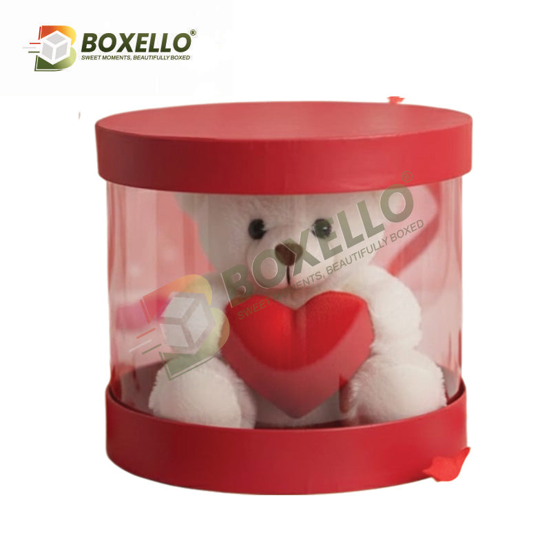 Transparent Hamper Box 9.75 x 9.75 X 6 inches