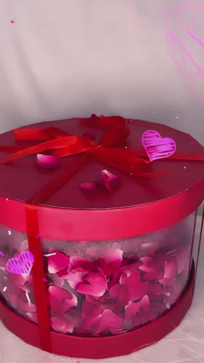 Transparent Hamper Box 10 x 10 x 6 inches