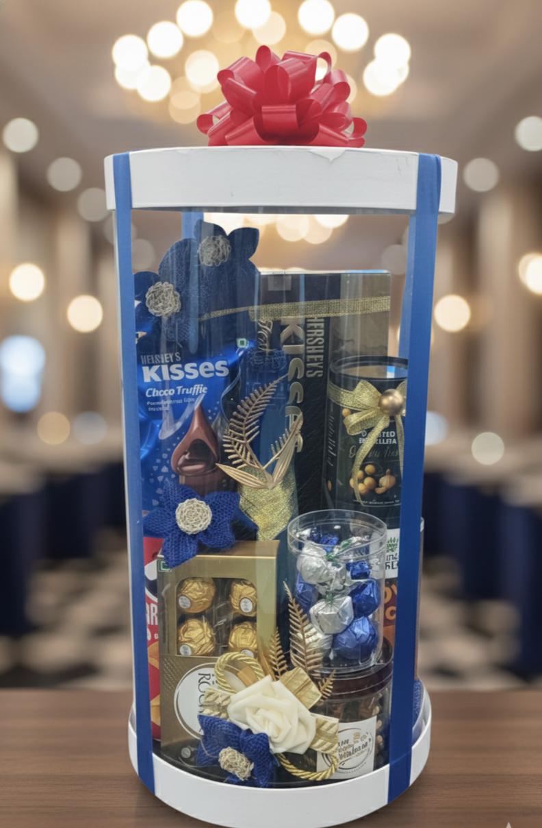 Transparent Boxes (10" x 10" X 20 inches)