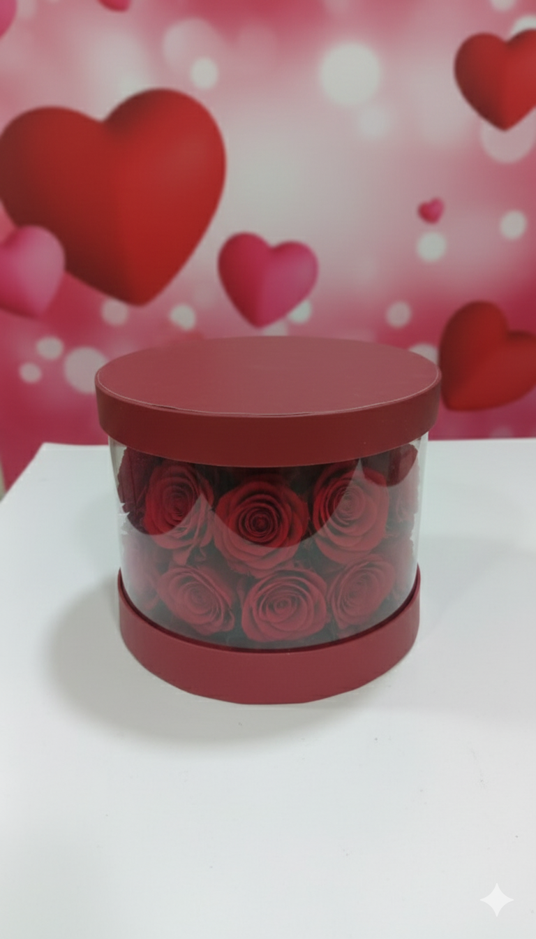 Transparent Hamper Box (9.75 x 9.75 X 6)